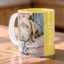 Search for small dogs mugs For him