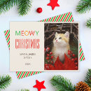 Search for cute kitten christmas cards Funny