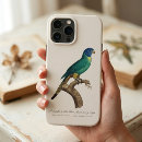 Search for rainbow lorikeet electronics Parrot