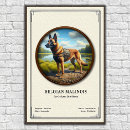 Search for belgian posters Malinois