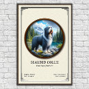 Search for herding dog posters Collie