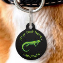 Search for lizard pet Gecko