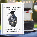 Search for funny congratulations cards Diploma