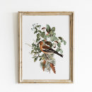 Search for vintage botanical posters Mushroom