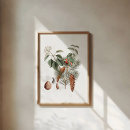 Search for pine cone posters Woodland