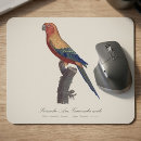 Search for conures mousepads Parrot