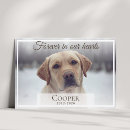 Search for dog memorial cards Forever in our hearts