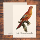 Search for lori cards Parrot
