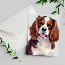 Search for cockerals cards Dogs