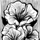 Search for gradient invitations Black and white