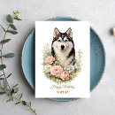 Search for husky cards Blue eyes