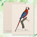 Search for bird lover cards Parrots