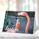 Search for waterfowl cards Photography