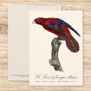 Search for lorie cards Parrot