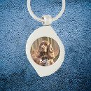 Search for cocker spaniel accessories Pets