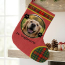 Search for dog lover christmas stockings Dogs