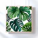 Search for monstera posters Leaves