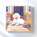 Search for white poodle posters Flowers
