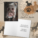 Search for chocolate lab birthday cards Cute