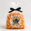 Search for vintage halloween black cat stickers Trick or treat
