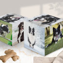 Search for christmas photo cubes Keepsake