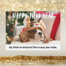 Search for funny dog new years cards Happy new year