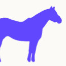 Search for horse trainer business cards Professional