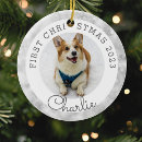 Search for silver christmas tree decorations Pet