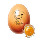 Search for egg carton rubber stamps Chicken