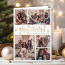 Search for 6 photo christmas cards Modern
