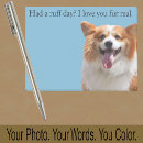Search for stuffer Pet photo