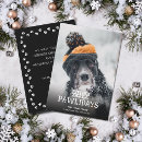 Search for canine christmas cards From the dog