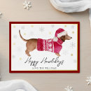 Search for sausage dog christmas cards Funny