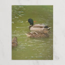 Search for heritage photography Nature