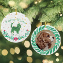 Search for charle spaniel Dogs
