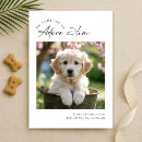 Search for double sided christmas cards Minimalist