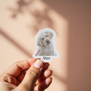 Search for photo bottle stickers Phone