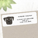 Search for black labrador retriever return address labels Animal lover