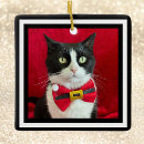 Search for tuxedo christmas tree decorations Animals