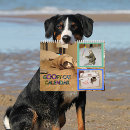 Search for funny cat calendars 2026