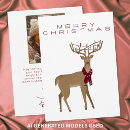 Search for reindeer christmas cards Winter season
