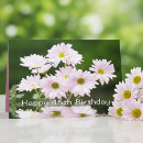 Search for daises cards Daisy
