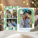 Search for peacock christmas cards Blue