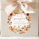 Search for rustic pumpkin stickers A little pumpkin