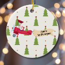 Search for biplane christmas tree decorations Flight