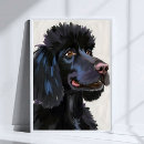 Search for poodle puppy posters Black