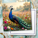 Search for peacock cards Blank