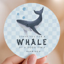 Search for underwater stickers Modern