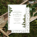 Search for pine forest Green and white