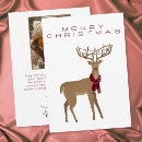 Search for reindeer christmas cards Winter season